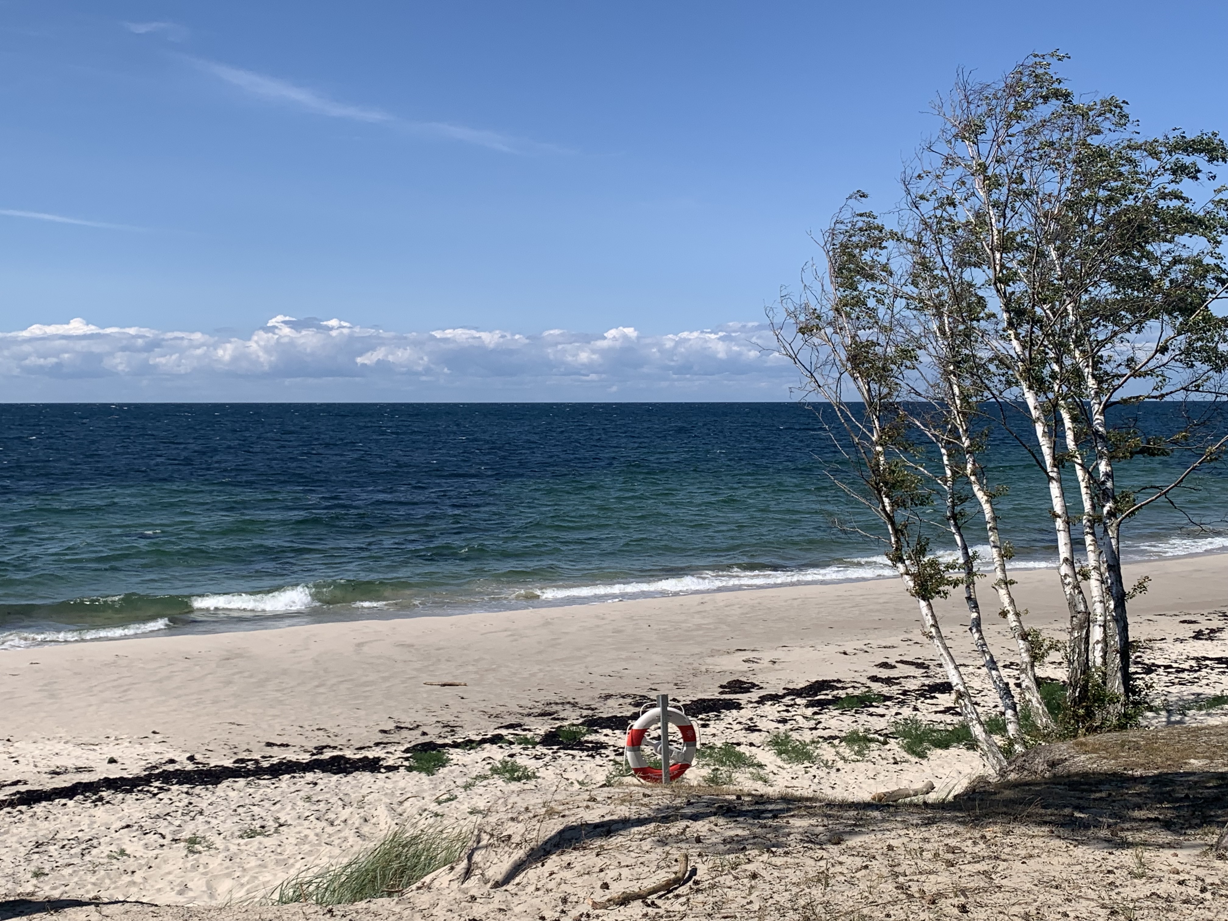 Udsigten og stranden